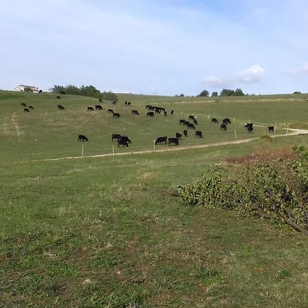 Ferrara di Monte Baldo Agriturismo Preeleヴィラ エクステリア 写真