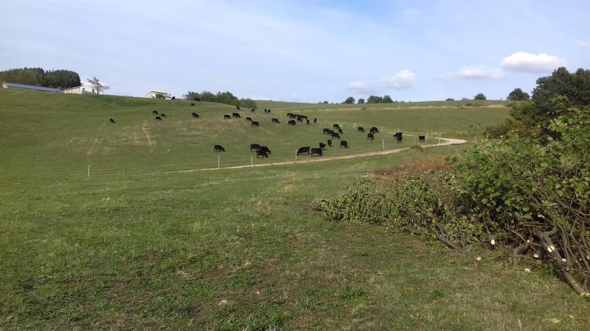 Ferrara di Monte Baldo Agriturismo Preeleヴィラ エクステリア 写真