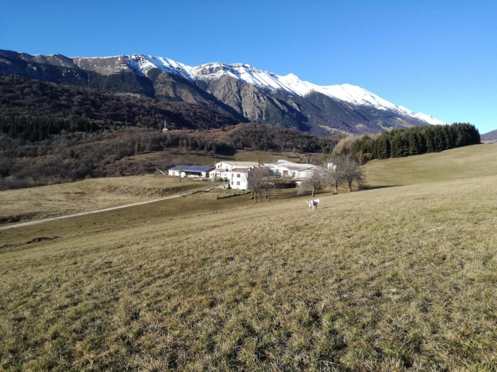 Ferrara di Monte Baldo Agriturismo Preeleヴィラ エクステリア 写真