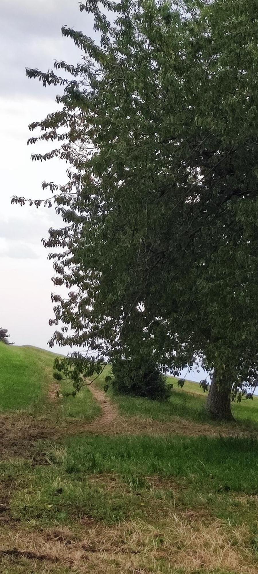 Ferrara di Monte Baldo Agriturismo Preeleヴィラ エクステリア 写真